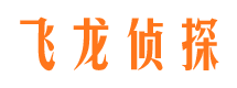 金凤侦探调查公司